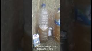 Madu liar,hutan sekaran