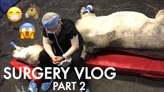 MY HORSE GETS SURGERY // PART 2