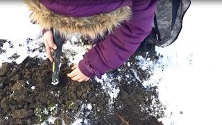wykopki, poszukiwania, eksploracja, metal detecting клад mr meteoryt 6