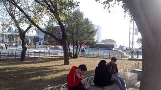 Sevişme istanbul fatih ilçesi fatih anıt parkta sevişen araplar suriyeliler