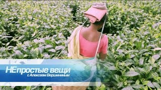 Непростые вещи. Английский чай