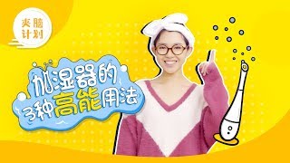 【夹脑计划】166）盘点加湿器的3种高能用法！