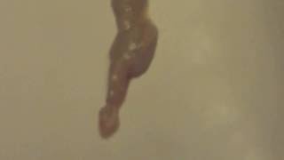 Watch what we pull out of crystals cheek