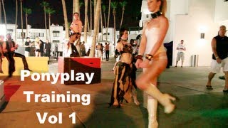 - PonyPlay training guide