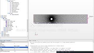 Star CCM 2D Analysis.