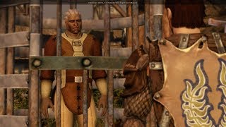 Dragon Age  Origins #19 (Освобождаем Стэна | Наводим порядок в окрестностях Лотеринга)