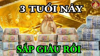 NGHÈO THẾ QUÁ ĐỦ RỒI 3 Con Giáp Hột Cạn Lộc Trời, Giàu Nhanh Chóng Mặt Về Già CỰC GIÀU