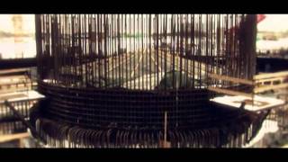 Corporate video - "RosAtom - 65 year"