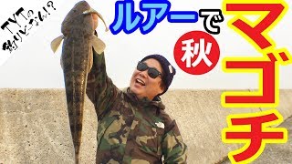 秋のマゴチをワームで狙う！ @常滑 知多半島