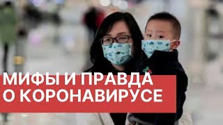 Что важно знать о вирусе в Китае. Мифы и правда о коронавирусе. Последние новости о вирусе 2020