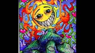Transdriver - Chunga Jungle
