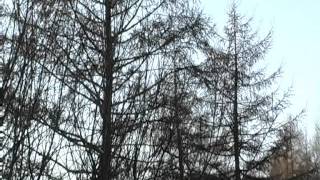 Александрово-Заводский район: точки роста