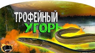 Я ЗАКРЫЛ ТРОФЕЙНОГО ШНУРКА ● РОЗЫГРЫШ ● Русская Рыбалка 4
