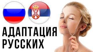 ТЯЖЕЛАЯ АДАПТАЦИЯ РУССКИХ В СЕРБИИ. Сербия для россиян 2021.
