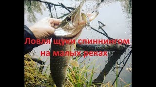 Ловля щуки спиннингом на малых реках. Снасти. Тактика