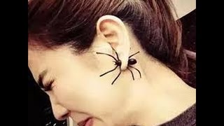 5 Насекомых с которыми вы бы не хотели встречатся