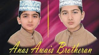 Ana's Awais Naqshbandi Bardran | New Mehfel Naat 2019 | Ali Echo Sound | 03008314125