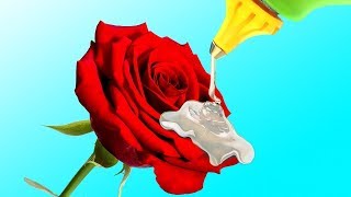 20 ЦВЕТОЧНЫХ ЛАЙФХАКОВ И ИДЕЙ ПОДЕЛОК С ЦВЕТАМИ