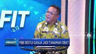 BNN Tegaskan Indonesia Tetap Tolak Penggunaan Ganja
