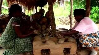 A Greener Tomorrow | Ripple Africa | Malawi | Emirates Airline