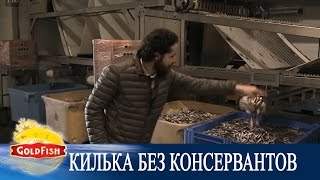 Килька без консервантов от GoldFish /Раскрываем все тайны производства