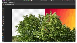 [Affinity Photo] Removing background from Trees (Leaves selection)