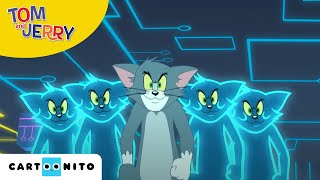 Tom & Jerry auf wilder Jagd | Virtueller Kampf | Boomerang