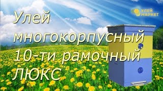 Улей 10 ти рамочный комплектации ЛЮКС. УлейМаркет