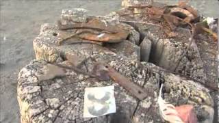 Drought Exposes Ghost Gold Rush Town in Dry Lake Bed - Folsom Lake, CA