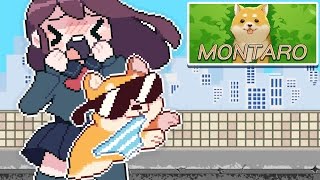Montaro / PANTY THEIF  / Jaltoid Games