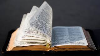 L'Épître de Jacques Chapitre 4 - Lecture De La Bible En Audio Français