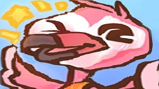 f l a m i n g o