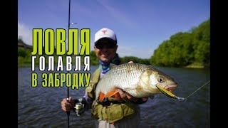 Ловля голавля весной. Рыбалка в забродку на Дону