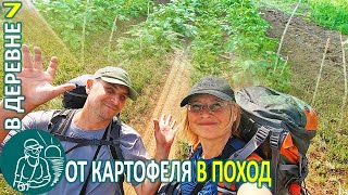 Замульчировали-развалили картофель и отправились в поход Жизнь Гордеевых в деревне - Влог 7