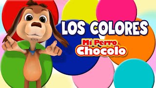 MI PERRO CHOCOLO APRENDE - LOS COLORES EN ESPAÑOL E INGLÉS -