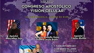 CONGRESO APOSTÓLICO VISIÓN CELULAR