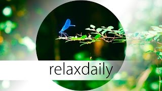Music for Yoga, thinking, being creative and relaxation - N°039 (4K)