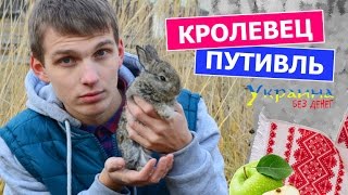 Украина без денег - КРОЛЕВЕЦ и ПУТИВЛЬ (выпуск 51)
