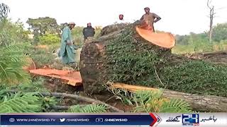 اسلام آباد انتظامیہ مارگلہ پہاڑیوں کی دشمن