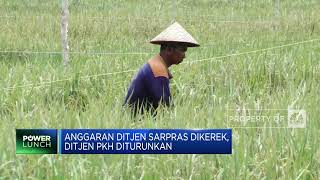 Kejar Target Produksi Beras 32 Juta Ton, Kementan Refocusing Anggaran Rp 7,7 T