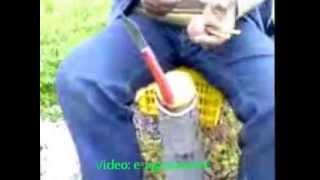 Εμβολιασμός με καλέμια