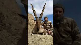 Markhor Price in Pakistan