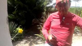 Sítio Valado em Chã Grande - Família Miguel