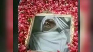 Rana Haroon shaheed