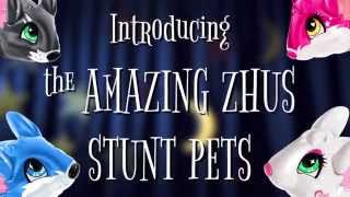 Introducing The Amazing Zhus Stunt Pets!