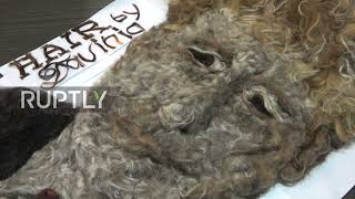 Salon owner creates hair-tfelt Boris Johnson mosaic as thank you for COVID response