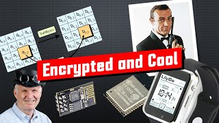 Secure and cool Remote Controls (Touchless, AES128 encryption, with a T-Beam watch and a cat)
