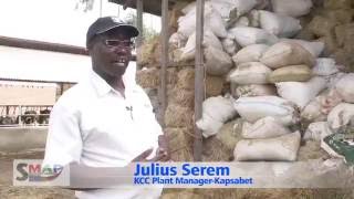 Feed Conservation for Dairy Cattle