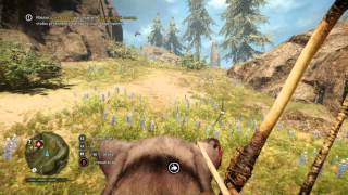 прохождение игры Far Cry Primal пойманные винджи