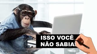 5 ANIMAIS MAIS INTELIGENTES DO MUNDO - Você precisa conhecer!
